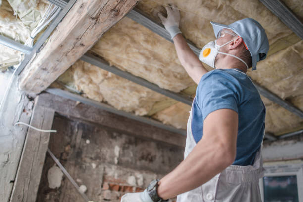 Best Geographic-Specific Insulation Services in Poplarville, MS