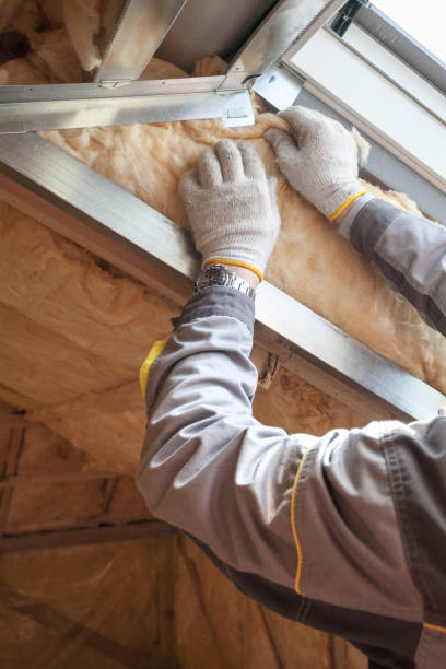 Best Insulation Maintenance and Repair in Poplarville, MS