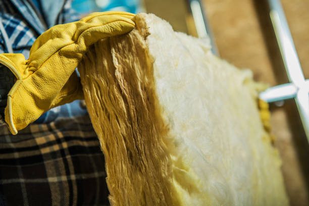 Best Geographic-Specific Insulation Services in Poplarville, MS